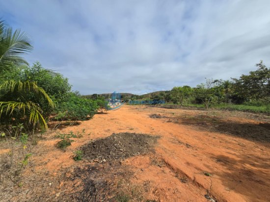 chacara-venda-baguari-1057759